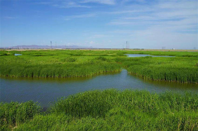 督察多次反饋污泥處置不當問題，地方怎么破解？